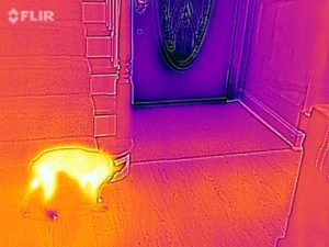 #heatloss