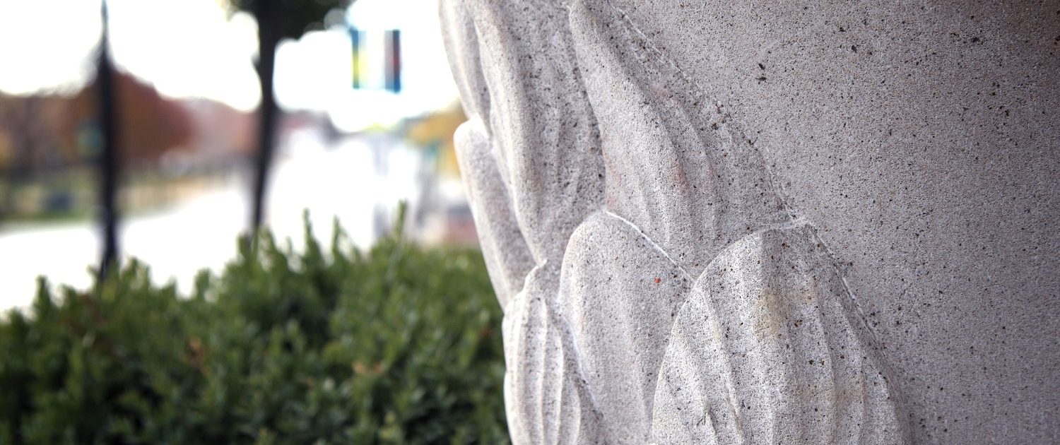 You’re looking at details on the exterior column for Mickey Finn's...yes those are hops.