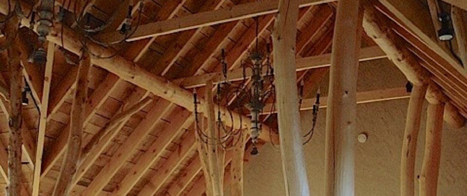 Private Artist Studio Private Artist Stuio - The building structure is an artistic expression of a forest, with semi-raw alder trees rising from the lower level 3-car garage to the upper level studio.