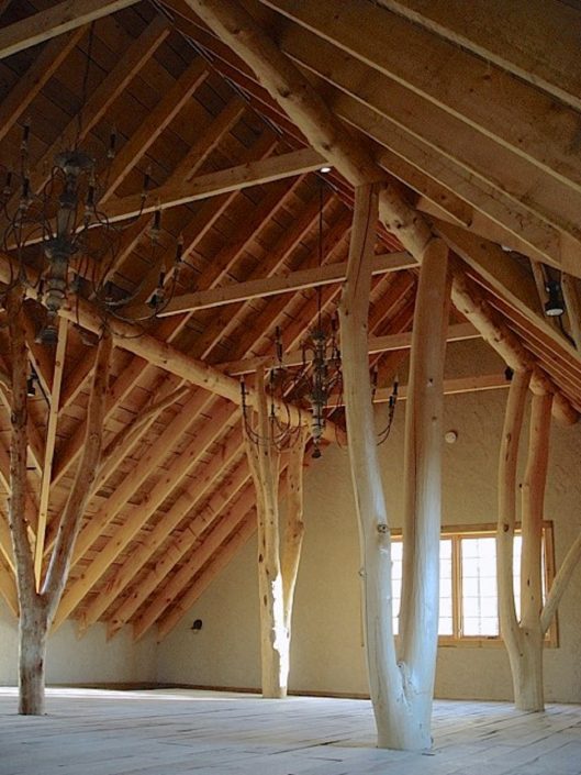 Private Artist Studio Private Artist Stuio - The building structure is an artistic expression of a forest, with semi-raw alder trees rising from the lower level 3-car garage to the upper level studio.